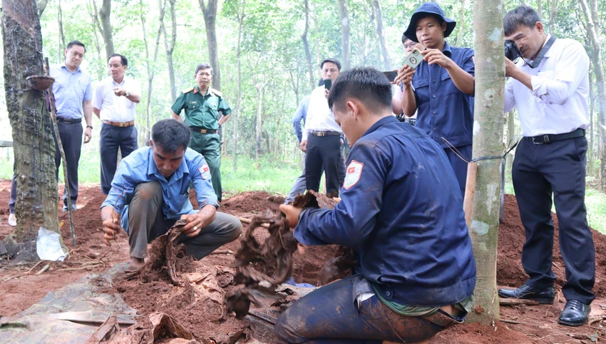 Trong ngày 23-8, tìm được ba bộ hài cốt liệt sĩ ở khu vực Tàu Ô. Ảnh: DH