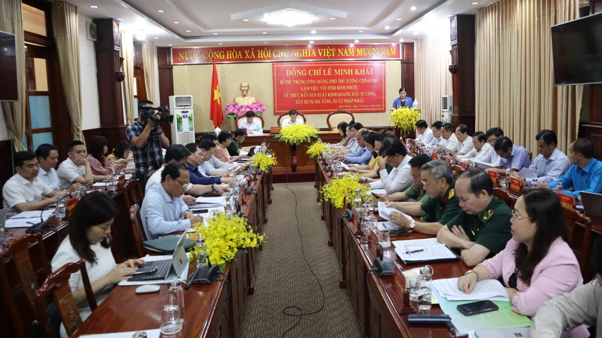 Bà Trần Tuệ Hiền, Chủ tịch UBND tỉnh Bình Phước đã có nhiều đề xuất với đoàn công tác. Ảnh: LA