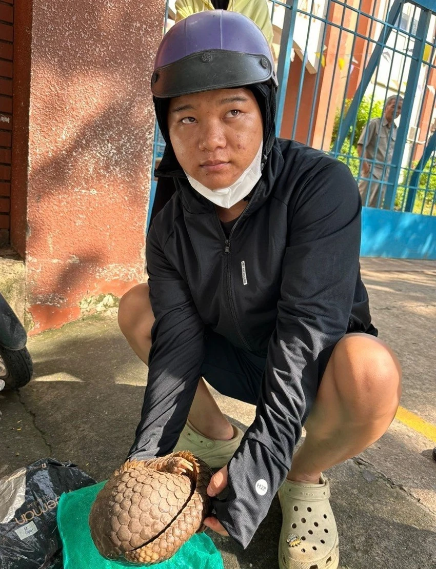 Đại đang mang tê tê đi bán thì bị bắt. Ảnh: CA Đại đang mang tê tê đi bán thì bị bắt. Ảnh: CA