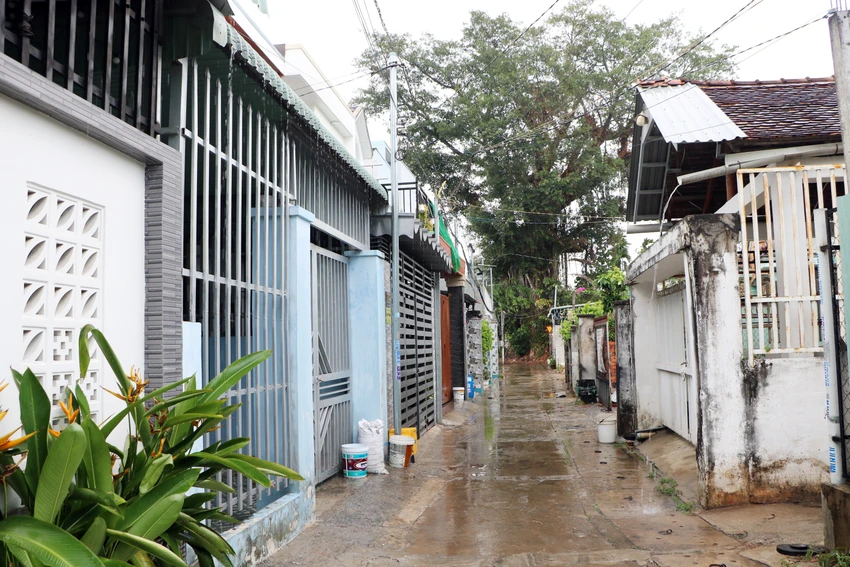 mưa (4).JPG