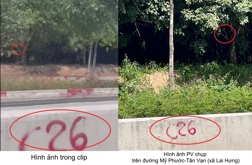 cô gái khỏa thân (7).jpg