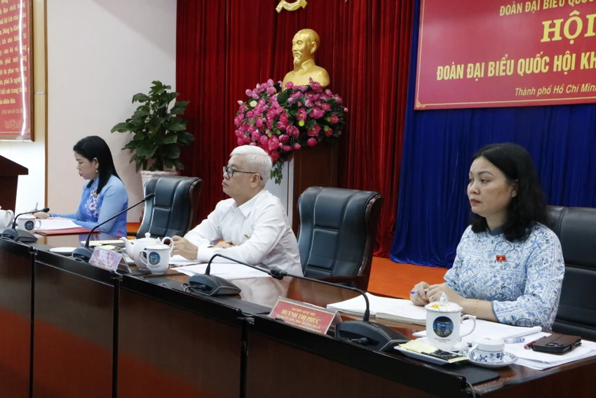 đại biểu quốc hội (1).JPG