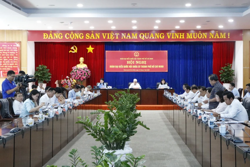 đại biểu quốc hội (3).JPG