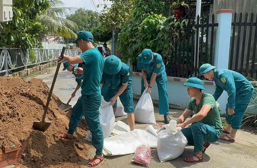 đắp đê (5).jpg