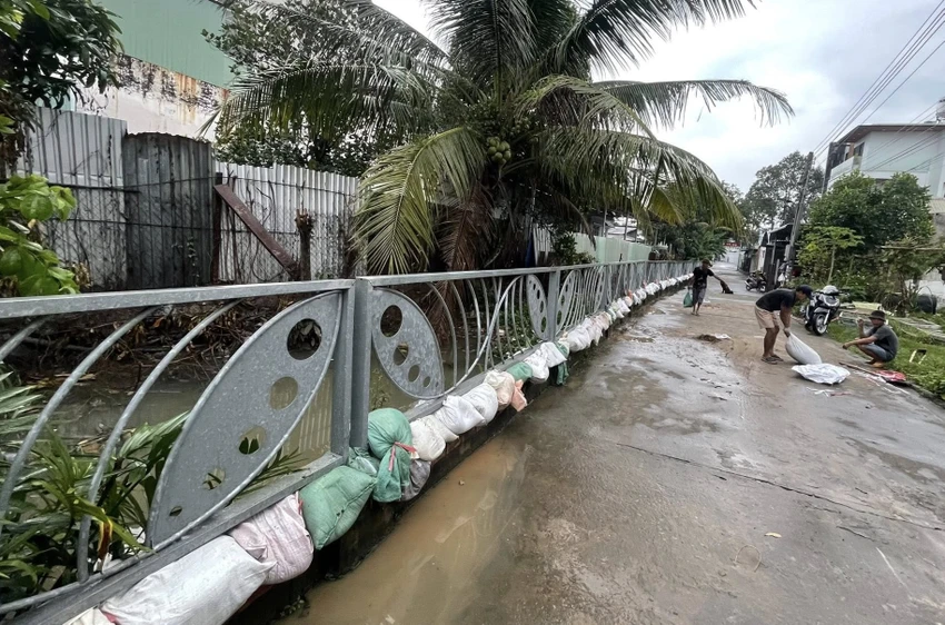 đắp đê (7).jpg
