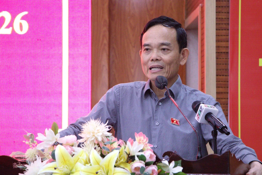 cử tri (6).jpg