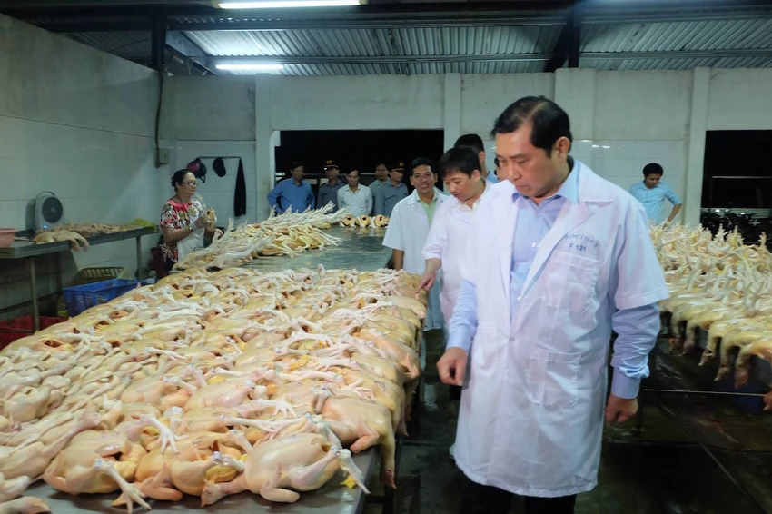 Chủ tịch Đà Nẵng kiểm tra về an toàn thực phẩm lúc 1 giờ sáng ảnh 1 Chủ tịch Đà Nẵng kiểm tra về an toàn thực phẩm lúc 1 giờ sáng ảnh 1
