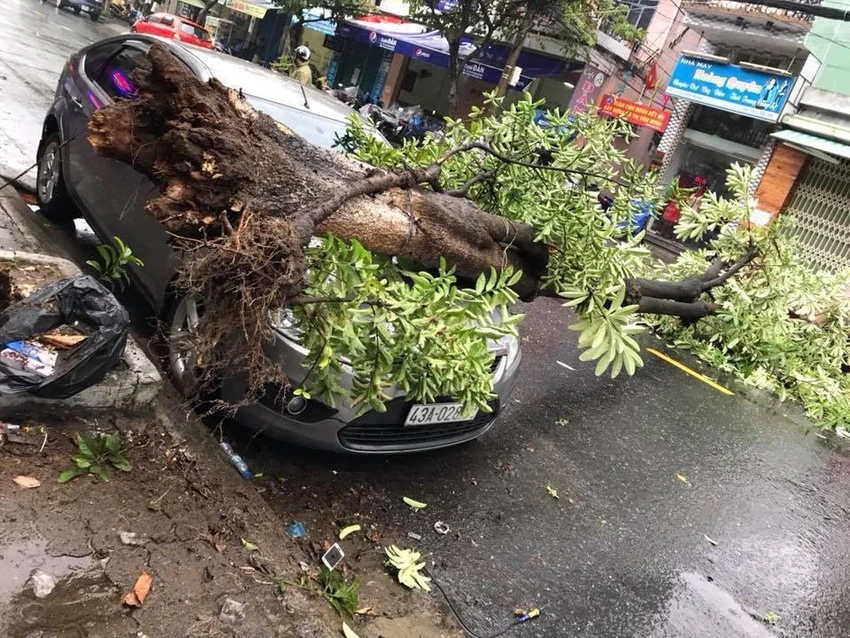 Kè sông Hàn bị sóng vỗ hỏng nghiêm trọng ảnh 6