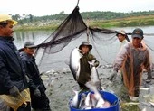Phải dẹp tình trạng quy hoạch chồng chéo ở ĐBSCL 