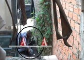 Xe hút hầm cầu 'tung hoành' trong thành phố 
