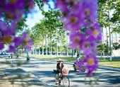 Chùm ảnh TP Tam Kỳ 'đẹp ngất ngây'