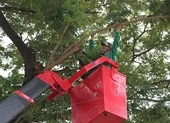 CN cấp nước, môi trường đòi 22 tỉ đồng nợ lương, thưởng