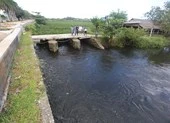 Nam thanh niên lao xuống sông cứu sống hai mẹ con