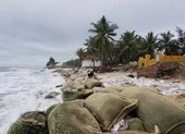 Hội An: Bờ biển Cửa Đại tan hoang