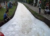 Nghi dùng thuốc trừ sâu để đầu độc, cá chết trắng kênh