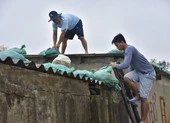 Thủ tướng yêu cầu ứng phó khẩn cấp với bão số 13, giật cấp 17