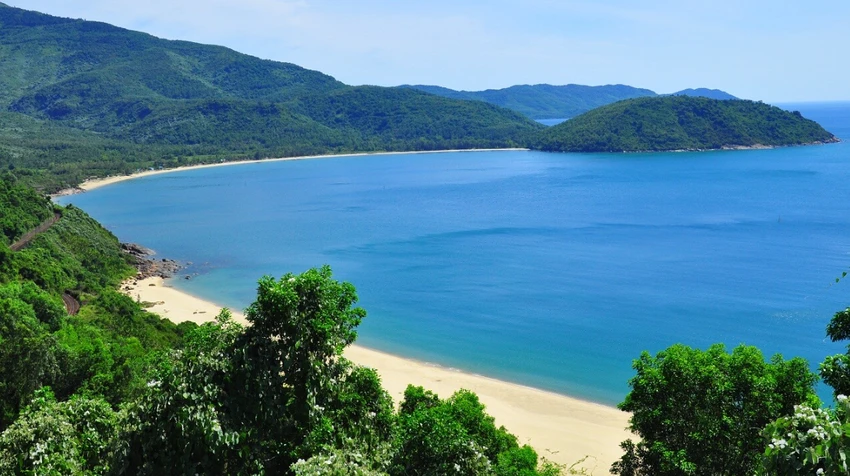 đất rừng