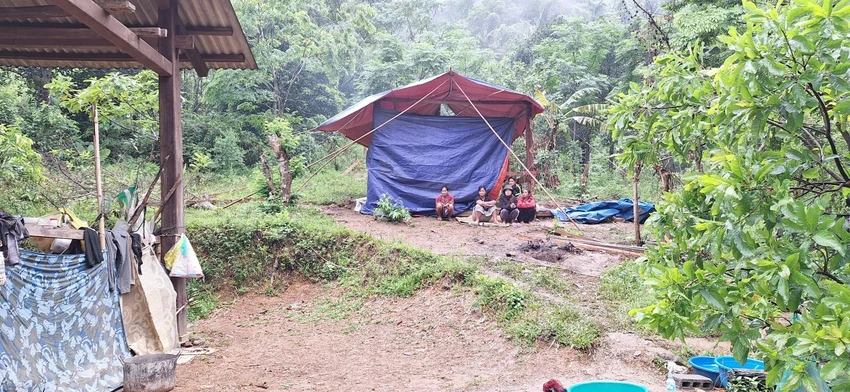 Hàng trăm người truy lùng nghi phạm sát hại người tình rồi bỏ trốn vào rừng