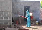Bốn người trong gia đình nhập viện vì nhiễm cúm A/H1N1