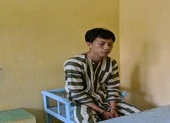 Mê game, cử nhân kinh tế vào công ty ăn trộm
