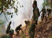Cháy rừng dữ dội ở Núi Cấm 