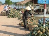 Thương lái Trung Quốc: Trước dễ dãi, sau lật lọng!