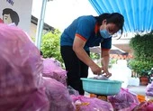 Giúp nông dân tiêu thụ hơn 100 tấn khoai lang tím
