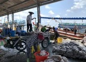 An Giang phát hiện 31 công nhân khuân vác cá nhiễm COVID-19