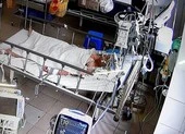 Cần Thơ: Mổ lấy con thành công cho 1 thai phụ mắc COVID-19 có biến chứng nặng