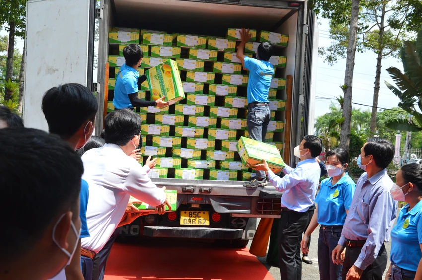 Lô xoài Cát Chu đầu tiên của Đồng Tháp được xuất khẩu sang Hà Lan hồi đầu năm 2022. Lô xoài Cát Chu đầu tiên của Đồng Tháp được xuất khẩu sang Hà Lan hồi đầu năm 2022.