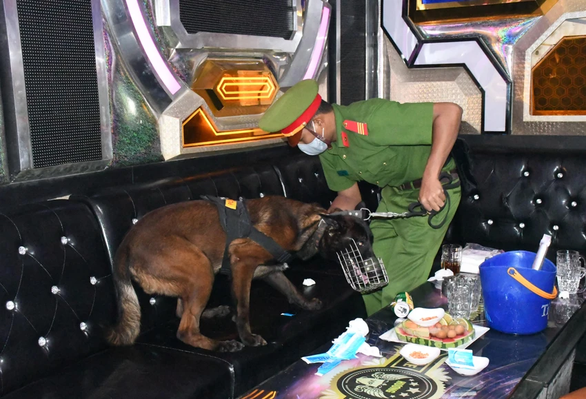 Cảnh sát sử dụng chó nghiệp vụ khám xét quán karaoke Cảnh sát sử dụng chó nghiệp vụ khám xét quán karaoke