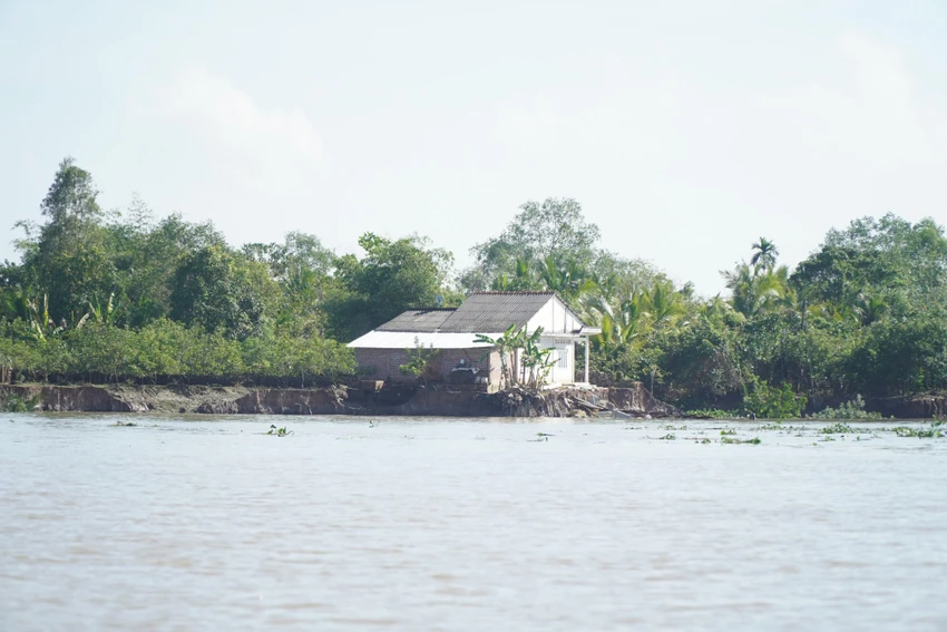 sạt lở bờ sông cổ chiên sạt lở bờ sông cổ chiên