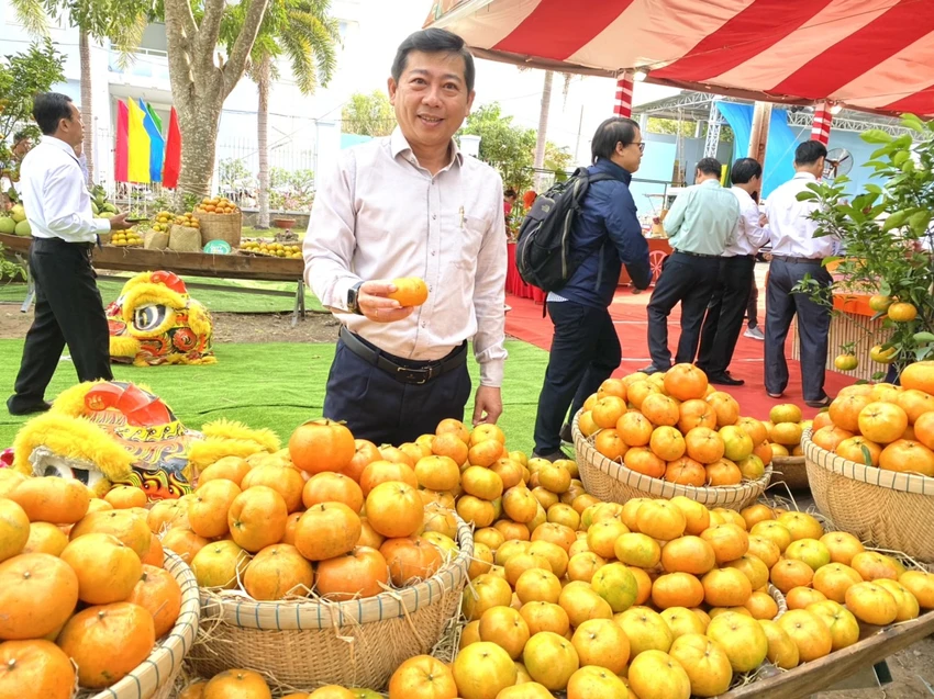 lễ quýt hồng lễ quýt hồng