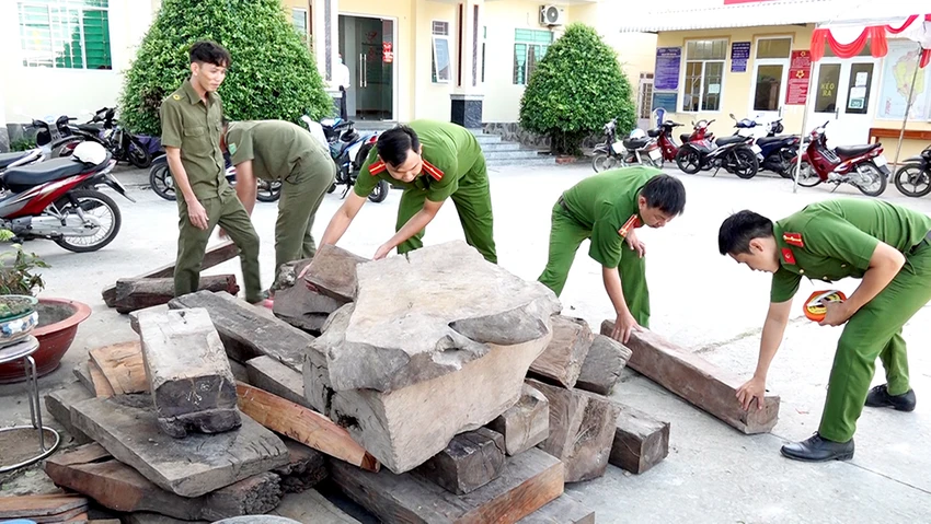 Công an kiểm đếm số gỗ nghi nhập lậu. Ảnh: CACC
