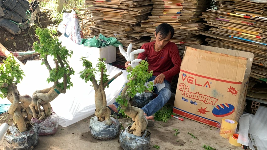 Nhà vườn tất bật gói hoa giấy giao cho khách hàng ở khắp nơi.