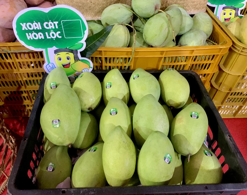 lễ hội xoài lễ hội xoài