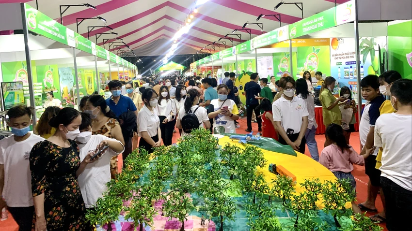 lễ hội xoài lễ hội xoài