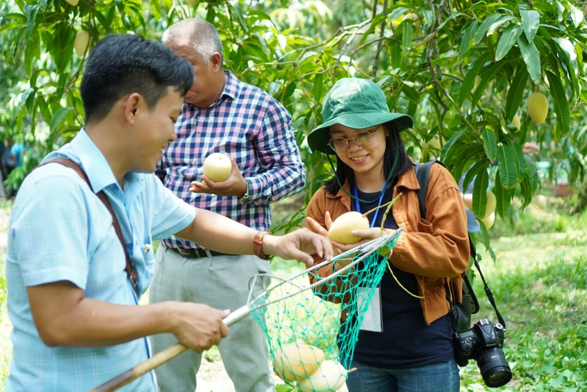 xuất khẩu xoài xuất khẩu xoài