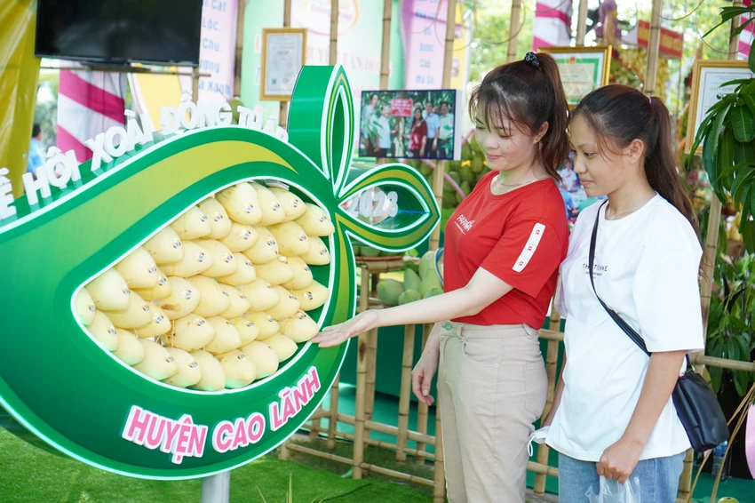 lễ hội xoài lễ hội xoài