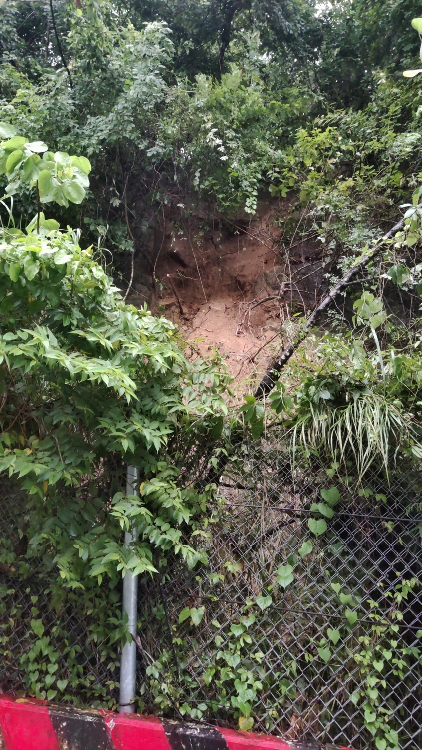 sat-nui-cam-3.jpg