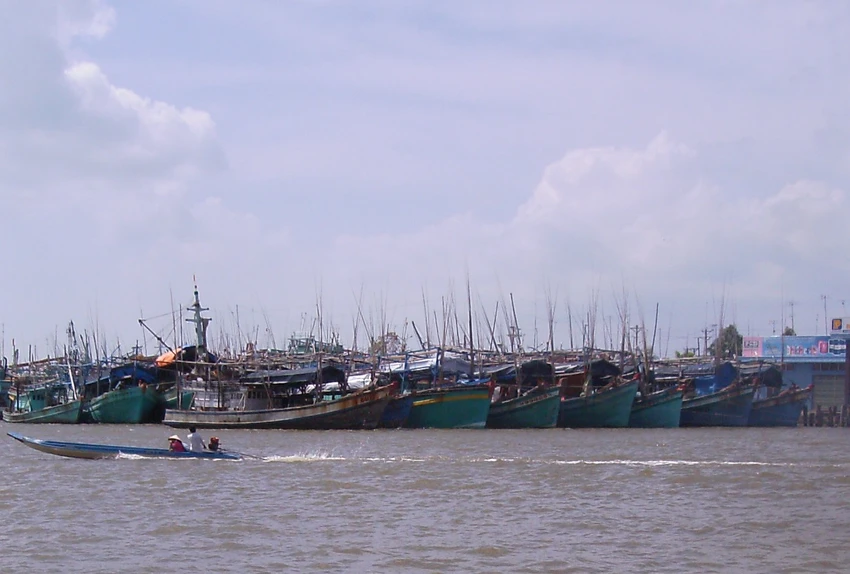IUU-ca-mau.jpg