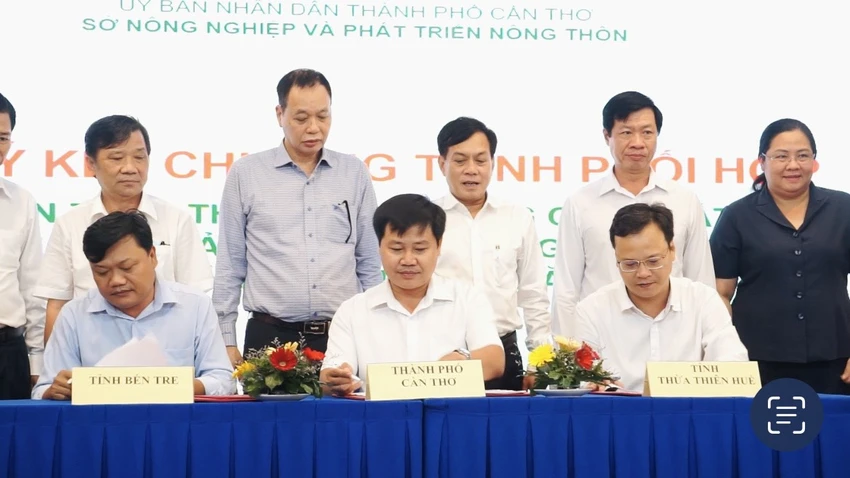 giao-thuong-can-tho-ky.jpg