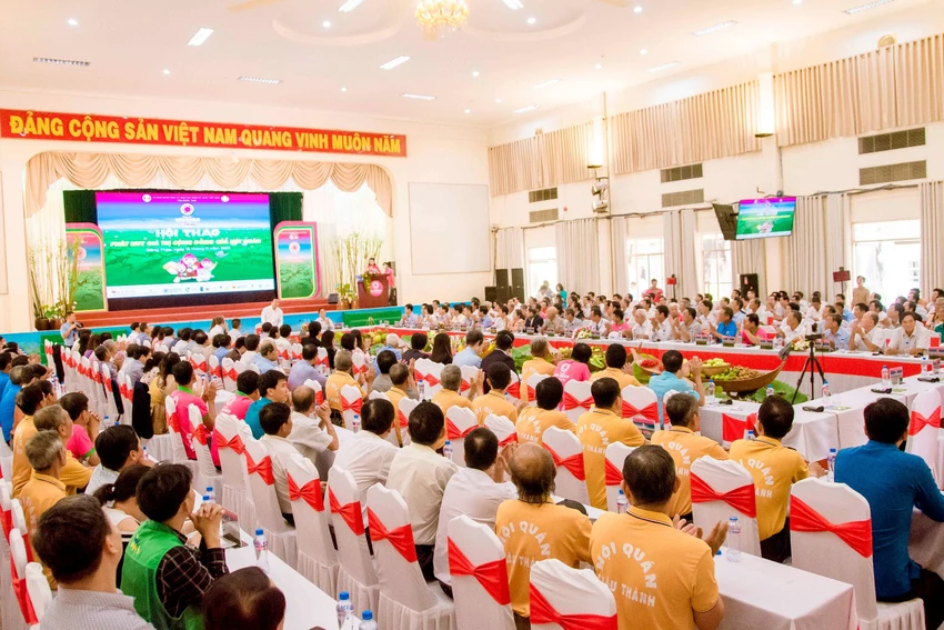 hoi-quan-dong-thap-7.jpg