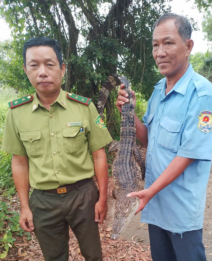 ca-sau-song-chuong.jpg