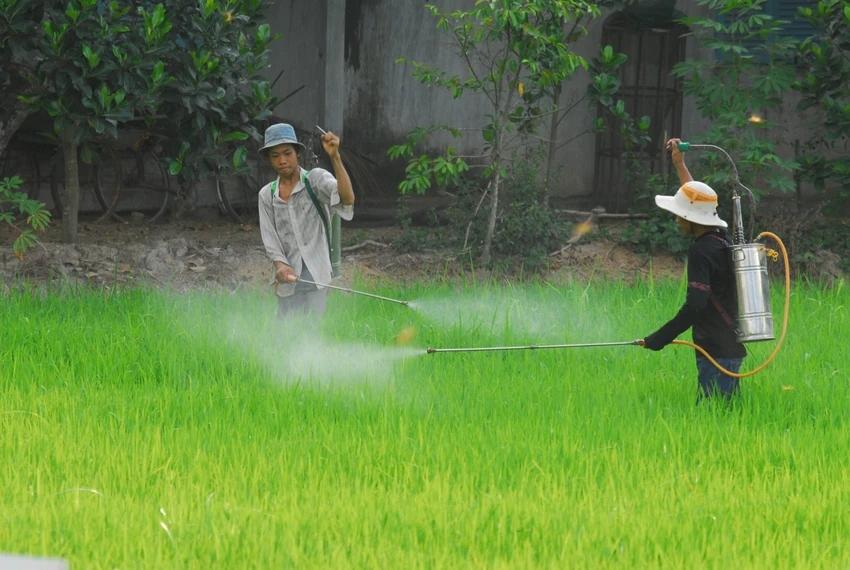 phun-thuoc-bvtv-5928.jpg