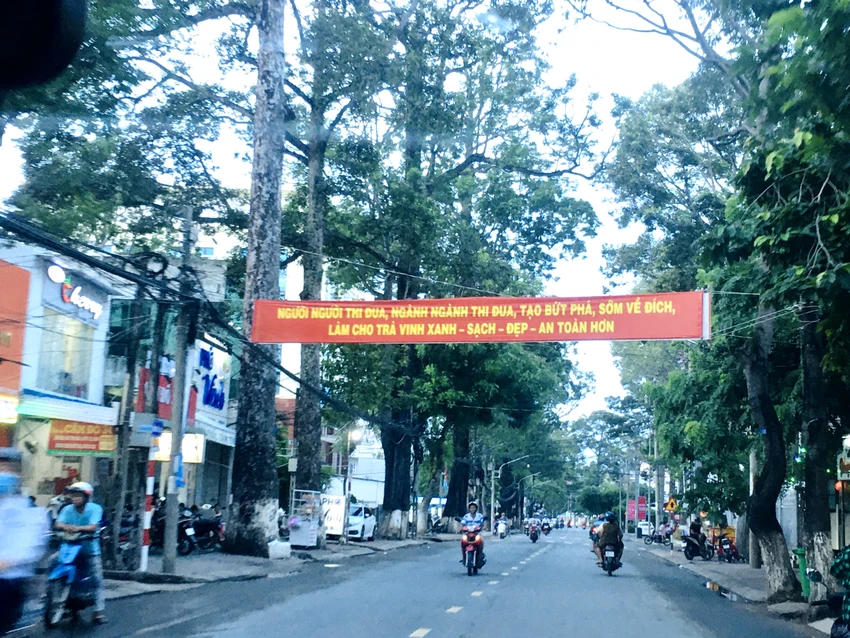cay-xanh-cong-minh-tra-vinh.jpg