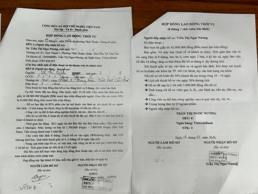 lao động thời vụ
