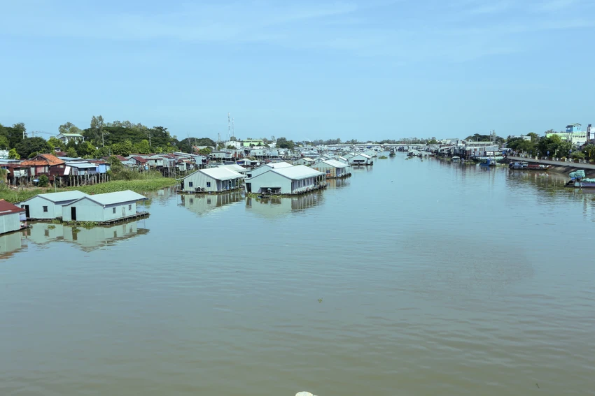 ngày hội cá tra đồng tháp