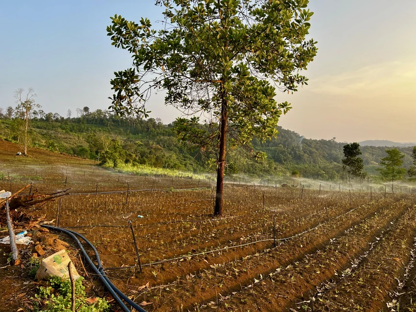 giam-ngheo-tinh-binh-dinh-1.jpg