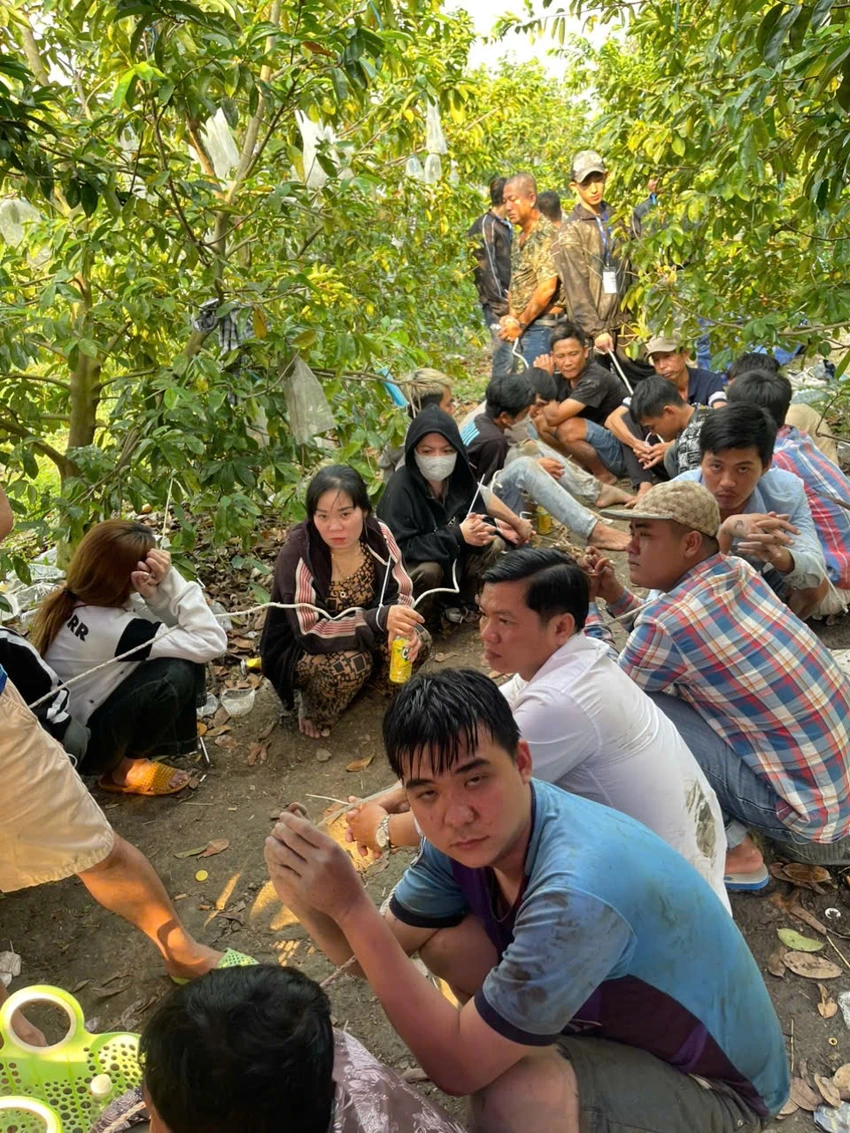 Lắc tài xiu